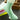 Women's bamboo fiber high quality socks in assorted colors, 5 pairs.