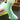 Women's bamboo fiber socks in various colors displayed on a wooden surface.
